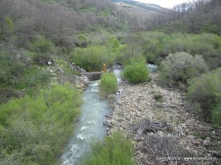 rrente Saracena-26-04-2014 21-35-20